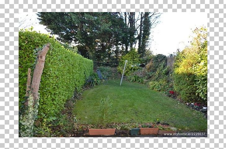 Hedge Property Land Lot Grasses Walkway PNG, Clipart, Backyard, Evergreen, Family, Garden, Grass Free PNG Download