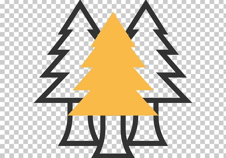 Lava Tree State Monument Fir Pine Computer Icons PNG, Clipart, Angle, Computer Icons, Conifer Cone, Conifers, Douglas Fir Free PNG Download
