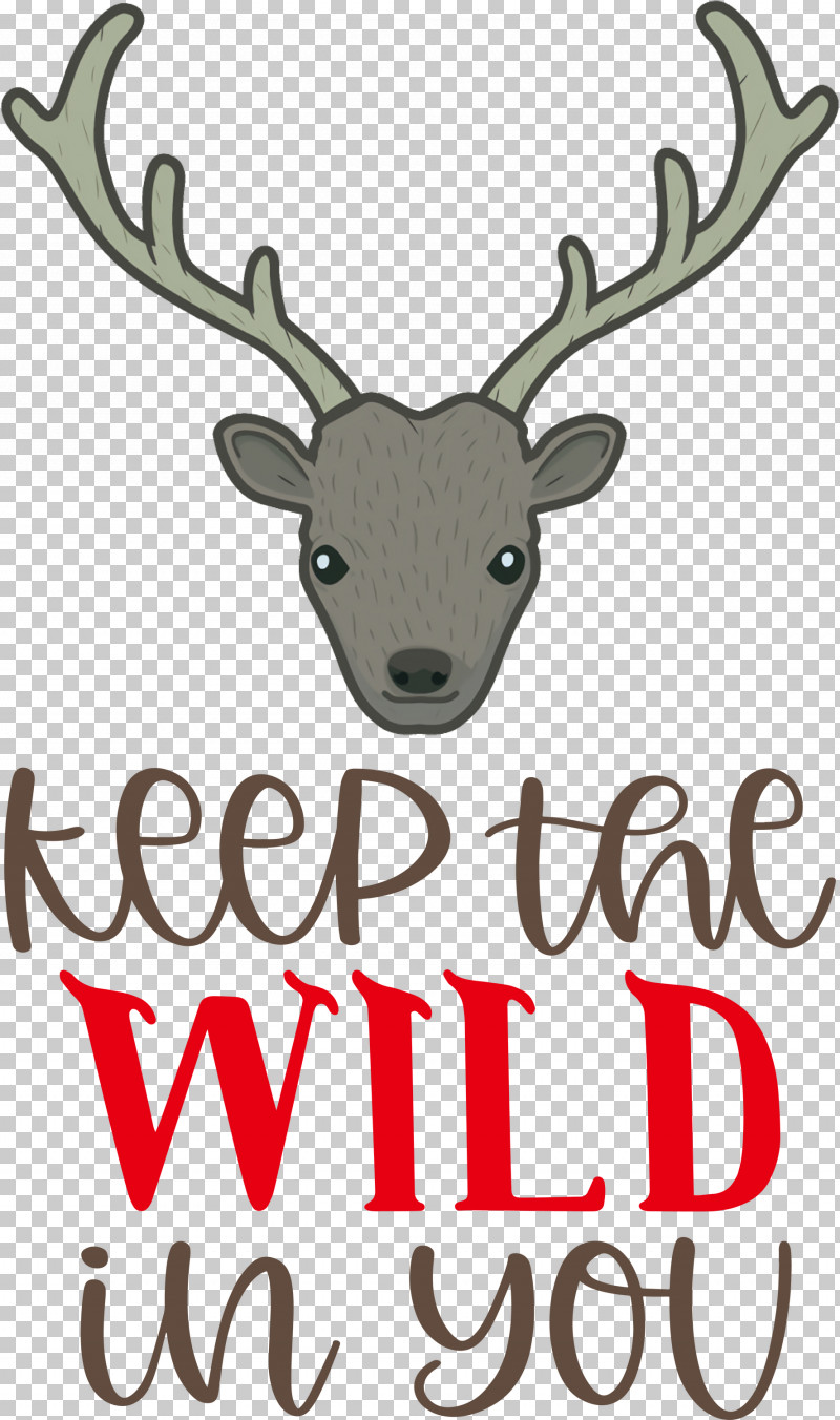 Keep Wild Deer PNG, Clipart, Antler, Biology, Deer, Keep Wild, Meter Free PNG Download