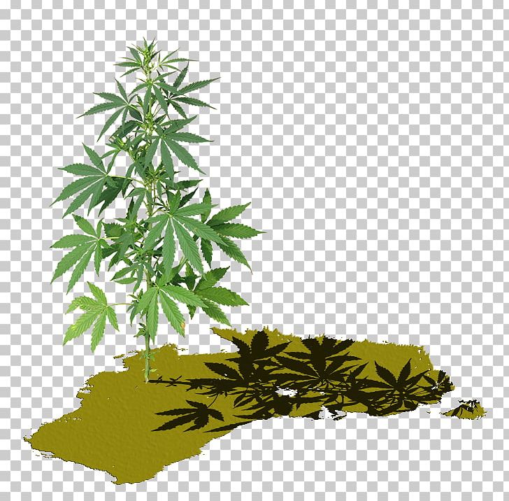 Cannabis Screenshot Painting Graphics 0 PNG, Clipart, 2018, Cannabis, Computer Monitors, Digital Data, Digital Painting Free PNG Download