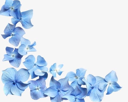 Hd Blue Flower Petals PNG, Clipart, Blue, Blue Clipart, Flower Clipart, Flowers, Hd Clipart Free PNG Download