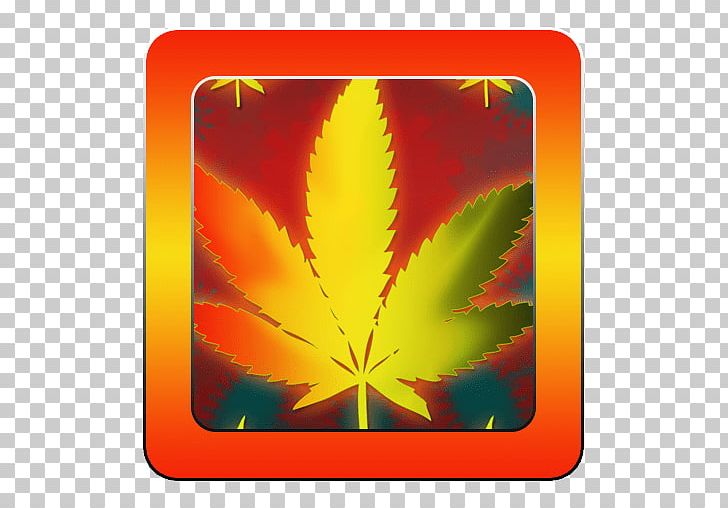 Maple Leaf PNG, Clipart, Leaf, Maple Leaf, Others, Tree Free PNG Download