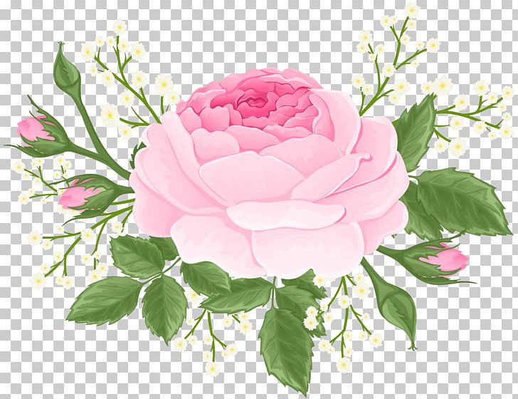 Pink Rose With White Flowers PNG, Clipart, Artificial Flower, Blue Rose, Centifolia Roses, Clipart, Cut Flowers Free PNG Download