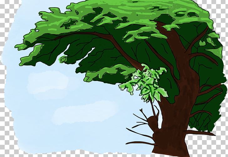 Tree Show PNG, Clipart,  Free PNG Download