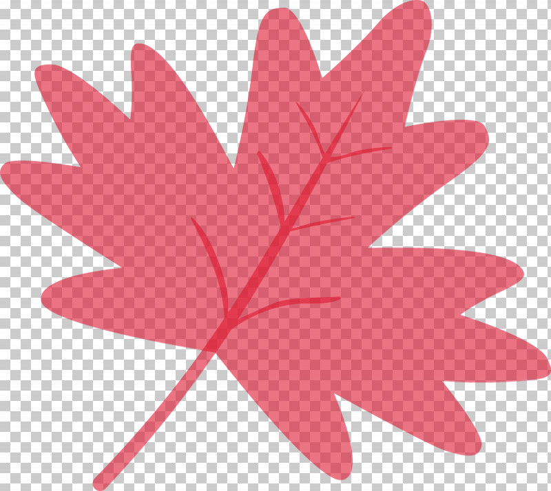 Maple Leaf PNG, Clipart, Flower, Hand, Leaf, Maple, Maple Leaf Free PNG Download