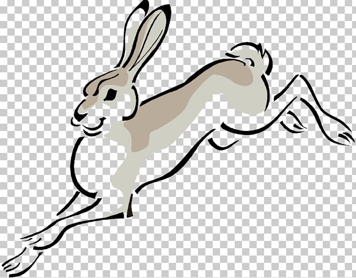 Arctic Hare European Hare Cottontail Rabbit PNG, Clipart, Arctic Hare Cliparts, Black And White, Carnivoran, Coloring Book, Cottontail Rabbit Free PNG Download