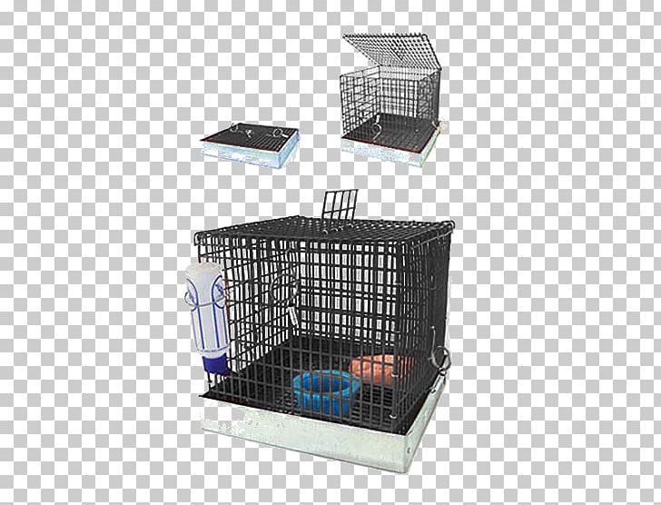Cage Sugar Glider Guinea Pig Cockatiel Pocket Pet PNG, Clipart, Cage, Chinchilla, Cockatiel, Crate, Dog Free PNG Download