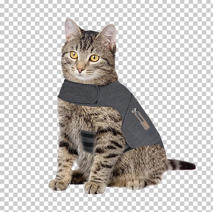 Cat Dog Veterinarian Pet Jacket PNG, Clipart, American Wirehair, Animals, Anxiety, Asian, California Spangled Free PNG Download