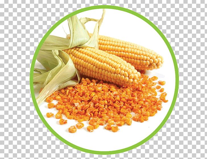 Corn On The Cob Food Maize Sweet Corn Individual Quick Freezing PNG, Clipart, Commodity, Corn Kernel, Corn Kernels, Corn On The Cob, Cuisine Free PNG Download