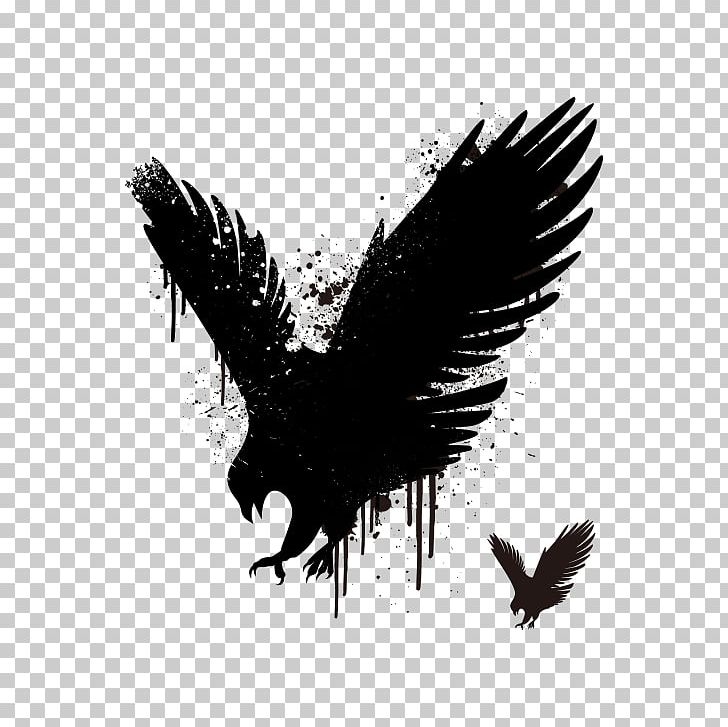 Hawk Stencil Euclidean Eagle PNG, Clipart, Angels Wings, Angel Wing, Angel Wings, Art, Beak Free PNG Download