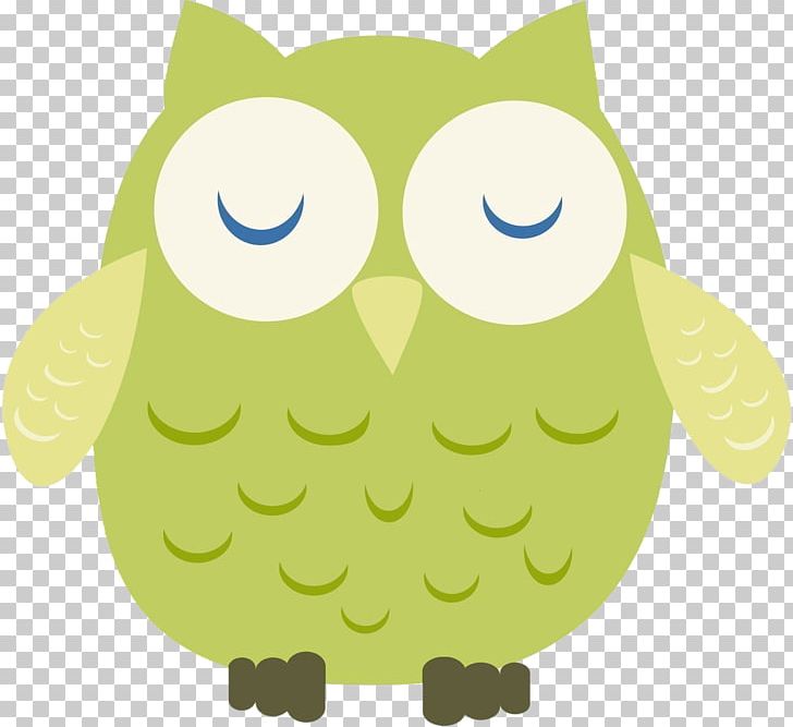 Kristoff Little Owl PNG, Clipart, Animals, Animation, Beak, Bird, Bird Of Prey Free PNG Download
