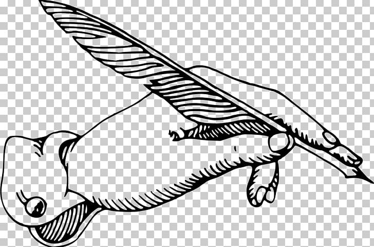 Quill Pen Drawing PNG, Clipart, Angle, Arm, Art, Artwork, Beak Free PNG Download