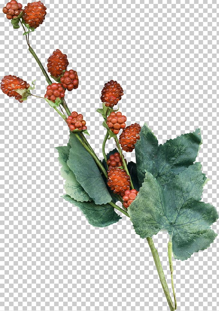 Artificial Flower Plant Stem Auglis PNG, Clipart, Artificial Flower, Auglis, Berry, Branch, Cut Flowers Free PNG Download