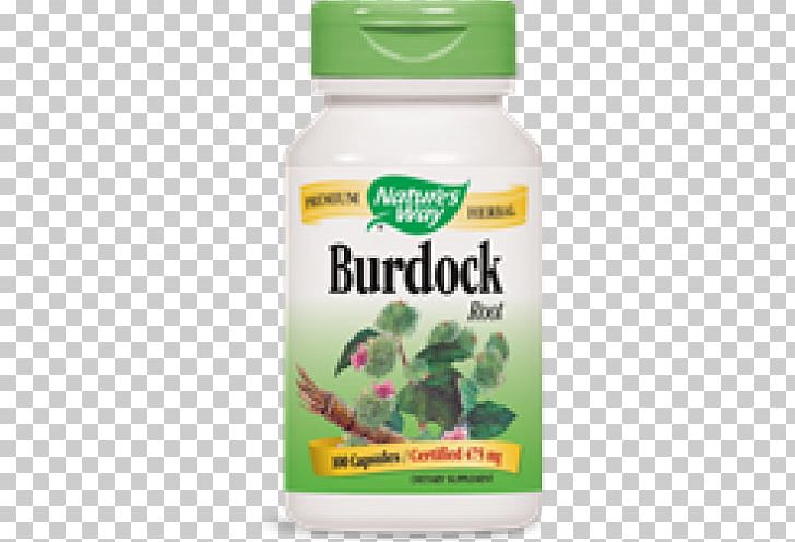 Dietary Supplement Greater Burdock Nutrient Herb Root PNG, Clipart, Burdock, Capsule, Chlorella, Dietary Supplement, Extract Free PNG Download