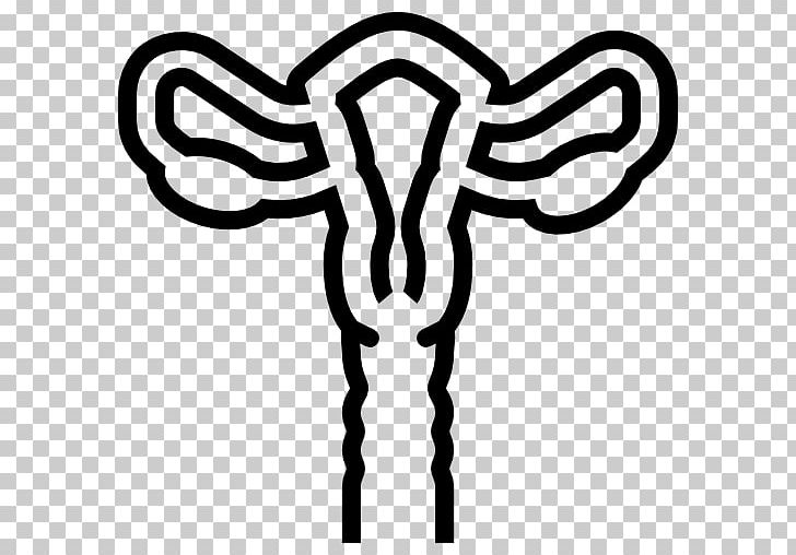 Dr. Salvadore Nocito Uterus Medicine Reproductive System Ovary PNG, Clipart, Black And White, Computer Icons, Dr Salvadore Nocito, Fallopian Tube, Female Reproductive System Free PNG Download
