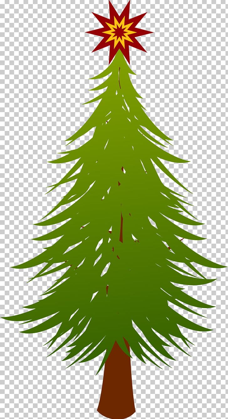 Fir Spruce Evergreen Christmas Tree PNG, Clipart, Branch, Christmas, Christmas Decoration, Christmas Ornament, Christmas Tree Free PNG Download