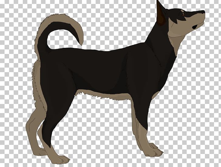 Karelian Bear Dog Canaan Dog Ancient Dog Breeds Pinscher PNG, Clipart, Ancient Dog Breeds, Animals, Bear, Breed, Breed Standard Free PNG Download