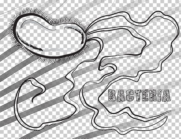Coloring Book Bacteria Microscopic Monsters Cell PNG, Clipart, Angle, Area, Black And White, Book, Cell Free PNG Download