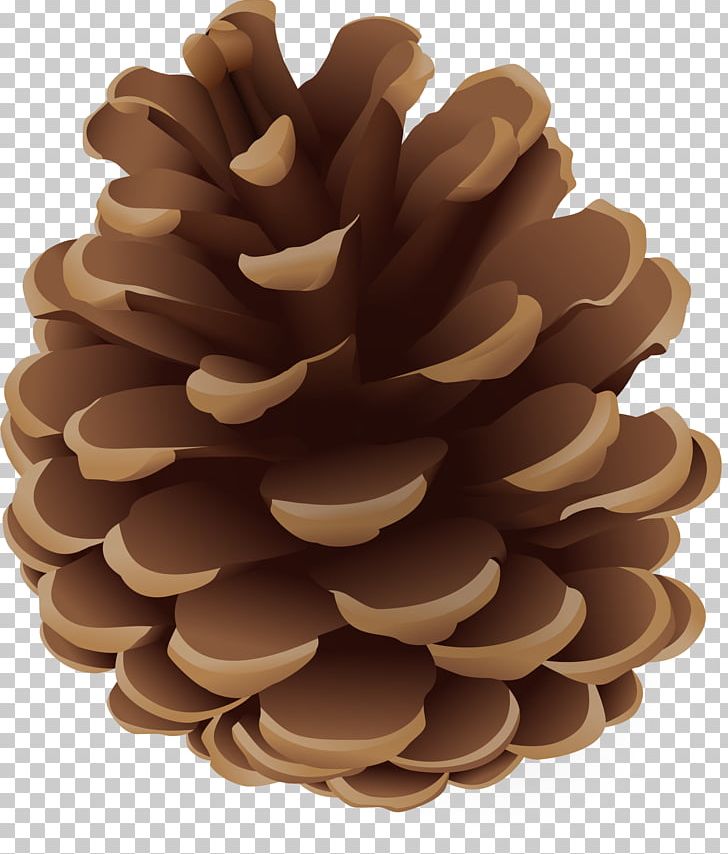 Conifer Cone Euclidean Pine PNG, Clipart, Coffee Aroma, Coffee Cup, Coffee Mug, Coffee Shop, Cone Free PNG Download