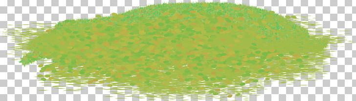 Green Commodity PNG, Clipart, Cesped, Commodity, Grass, Grass Family, Green Free PNG Download