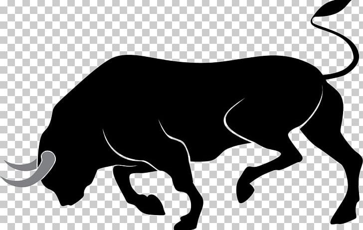 Angus Cattle English Longhorn Texas Longhorn Bull PNG, Clipart, Animals, Big Cats, Black, Bull Riding, Carnivoran Free PNG Download