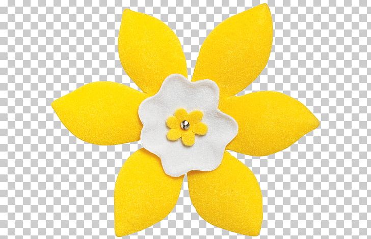 Daffodil Canadian Cancer Society Bulb Relay For Life PNG, Clipart, American Cancer Society, Breast Cancer, Bulb, Canadian Cancer Society, Cancer Free PNG Download