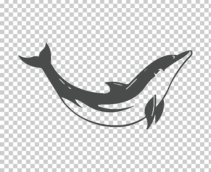 Wall Decal Dolphin Sticker PNG, Clipart, Animals, Art, Beak, Bird, Black Free PNG Download