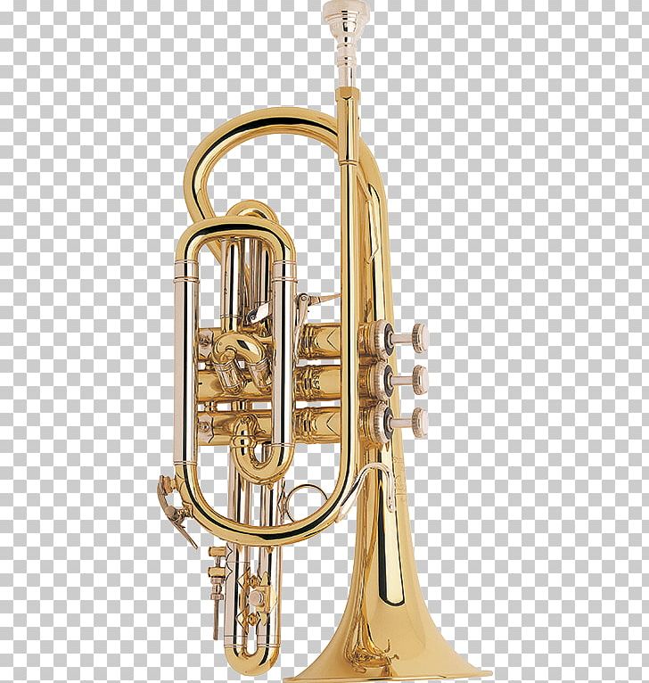 Cornet Trumpet Flugelhorn Mellophone Vincent Bach Corporation PNG, Clipart, Alto Horn, Bach, Brass, Brass Instrument, Brass Instruments Free PNG Download