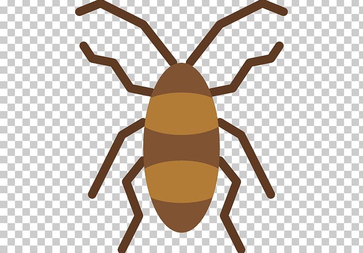 Insect Cockroach In Phone Termite PNG, Clipart, Android, Animals, Arthropod, Artwork, Bed Bug Free PNG Download