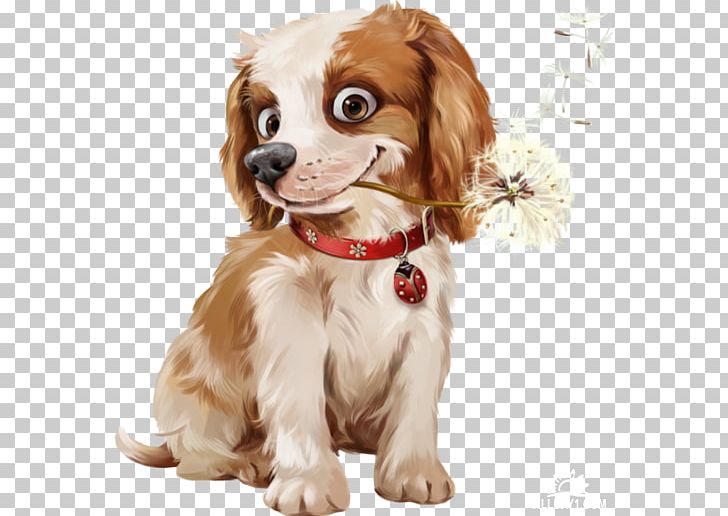 Morning Friday Good Greeting PNG, Clipart, Akhir Pekan, Animaatio, Carnivoran, Cavalier King Charles Spaniel, Companion Dog Free PNG Download