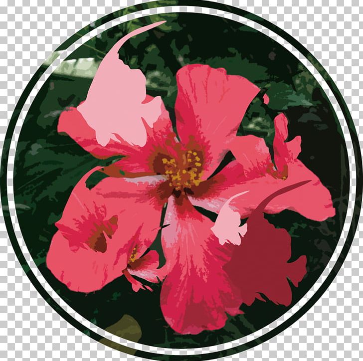 Rosemallows Rose Family Petal Punk Rock PNG, Clipart, Circus Design, Flora, Flower, Flowering Plant, Flowers Free PNG Download