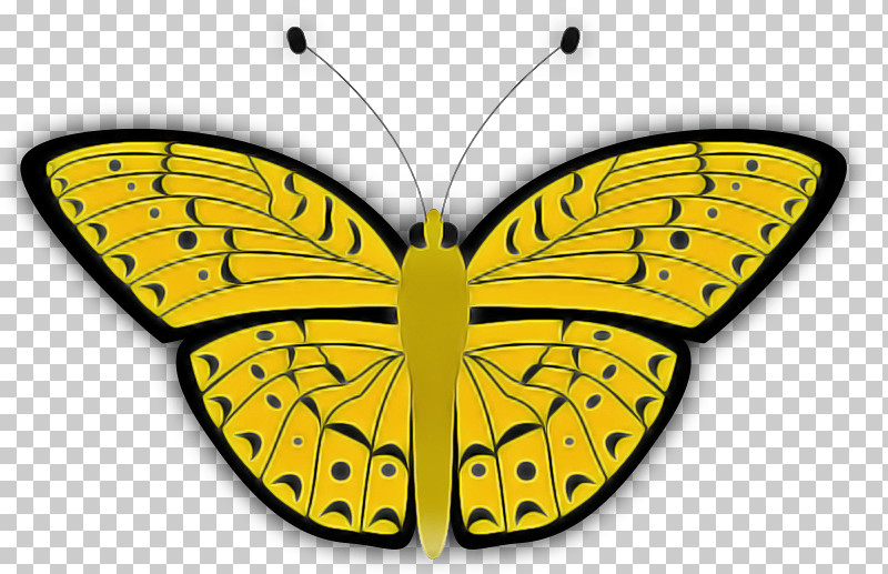 Moths And Butterflies Butterfly Insect Pollinator Yellow PNG, Clipart, Brushfooted Butterfly, Butterfly, Insect, Moths And Butterflies, Papilio Machaon Free PNG Download