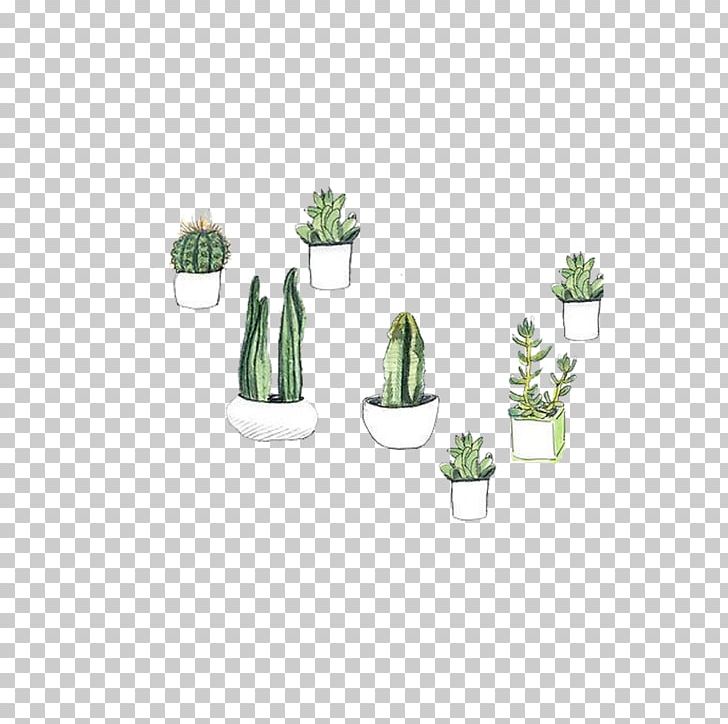 Cactaceae Watercolor Painting Succulent Plant Drawing Prickly Pear PNG, Clipart, Cactus, Color, Flooring, Flora, Floral Design Free PNG Download