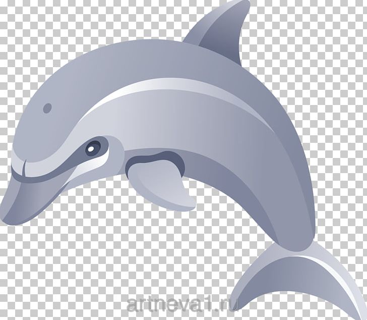 Dolphin Desktop PNG, Clipart, Animals, Beak, Common Bottlenose Dolphin, Computer Icons, Desktop Wallpaper Free PNG Download