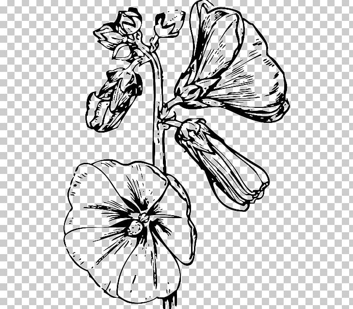 Hollyhock House Drawing PNG, Clipart, Artwork, Black And White, Coloring Book, Cut Flowers, Download Free PNG Download