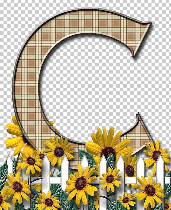 Letter Case Alphabet Flower PNG, Clipart, Alphabet, Arch, Cut Flowers, Daisy, Daisy Family Free PNG Download