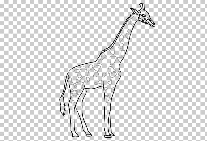 Line Art Contour Drawing Giraffe PNG, Clipart, Animal, Animal Figure, Animals, Art, Artwork Free PNG Download