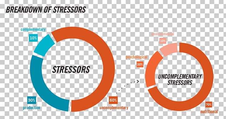 Stressor Occupational Stress Risk Appetite PNG, Clipart, Appetite, Area, Brand, Circle, Communication Free PNG Download