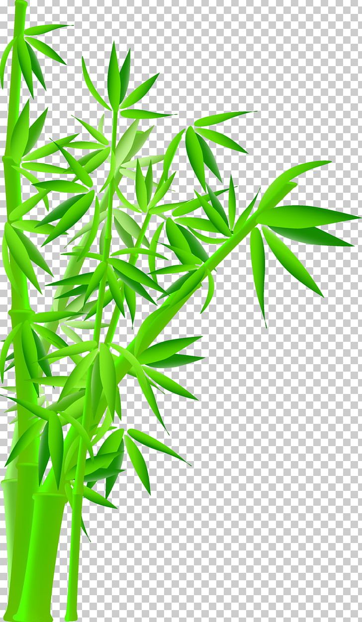 Bamboo Stock Photography Illustration PNG, Clipart, Background Green, Bamboo, Bamboo Leaves, Bamboo Vector, Cannabis Free PNG Download