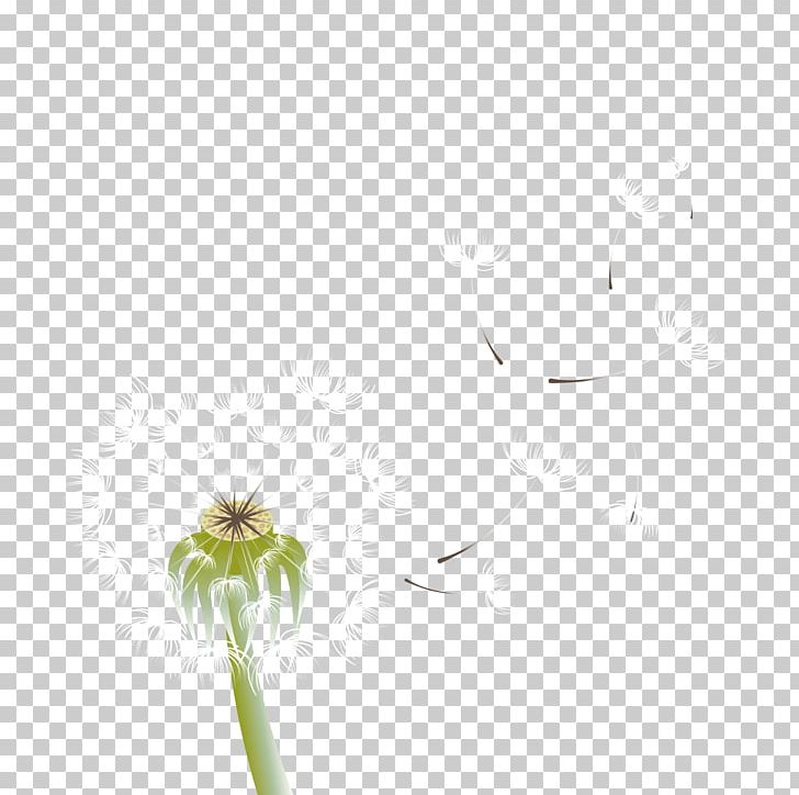 Green Flooring Pattern PNG, Clipart, Black Dandelion, Dandelion, Dandelion Flower, Dandelions, Dandelion Seeds Free PNG Download