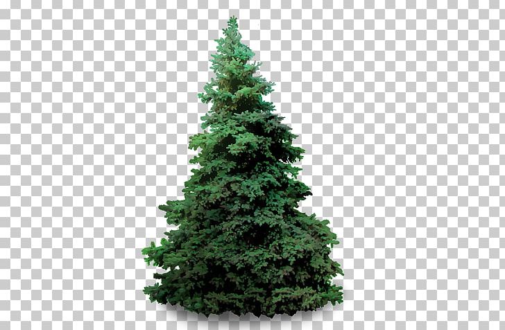 Artificial Christmas Tree Pre-lit Tree Pine Christmas Day PNG, Clipart, Artificial Christmas Tree, Biome, Christmas Day, Christmas Decoration, Christmas Greenery Free PNG Download