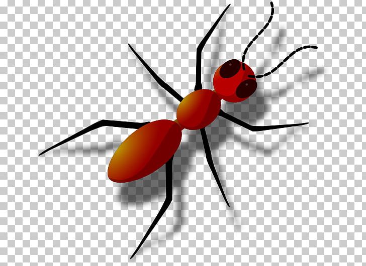 Black Garden Ant PNG, Clipart, Ant, Arthropod, Black Garden Ant, Clip Art, Computer Icons Free PNG Download