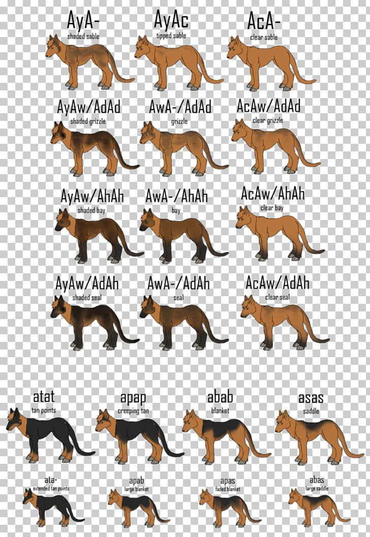 Horse American Pit Bull Terrier Agouti Cat PNG, Clipart, Agouti, American Pit Bull Terrier, Animal Figure, Animals, Black Free PNG Download