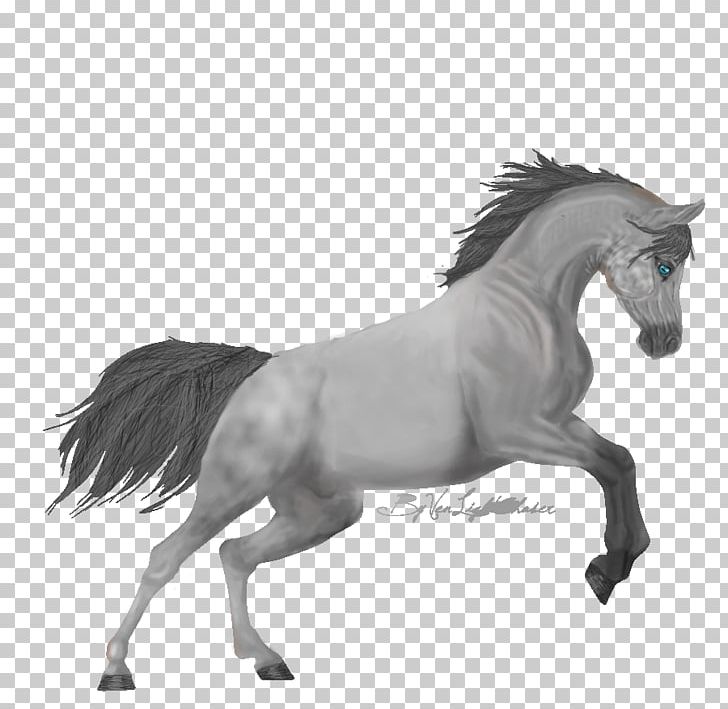 Mane Mustang Stallion Pony Mare PNG, Clipart, Animal Figure, Black And White, Bridle, Halter, Horse Free PNG Download