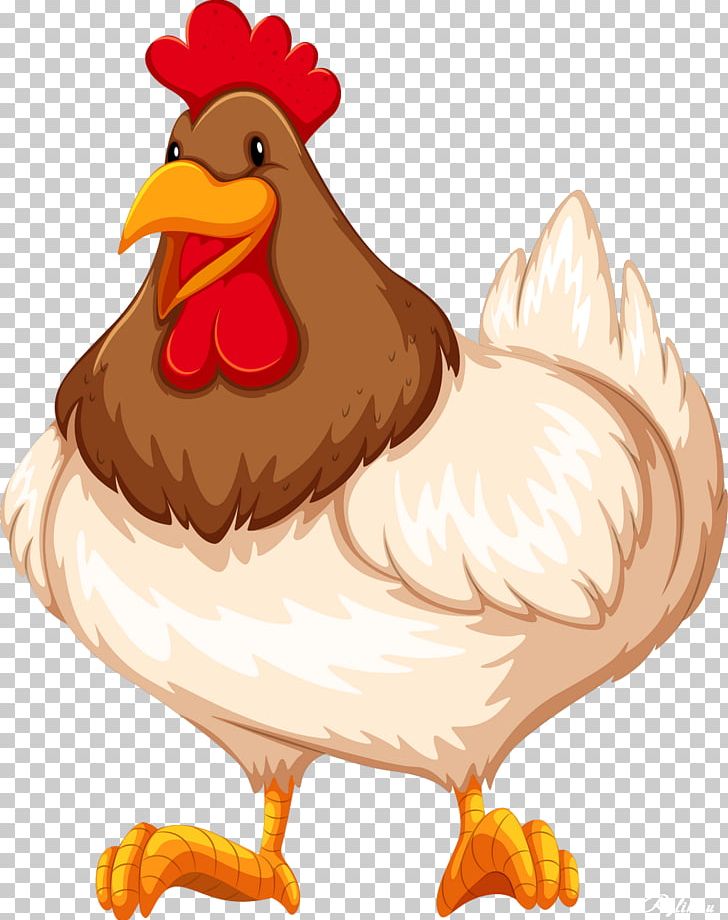 Chicken Buffalo Wing Rooster PNG, Clipart, Animals, Beak, Bird, Buffalo Wing, Chicken Free PNG Download