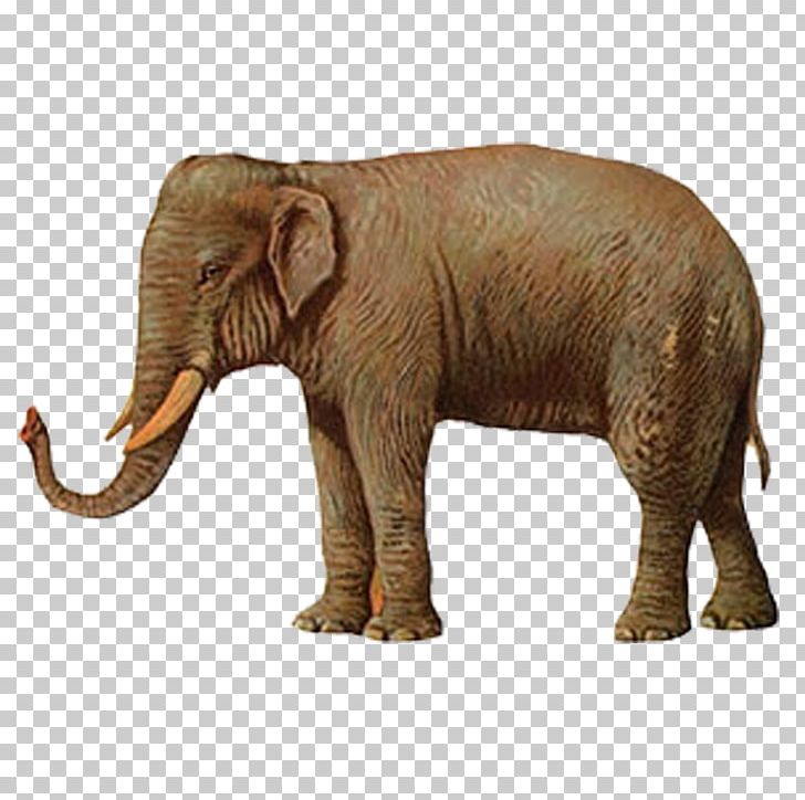 Elephant Illustration PNG, Clipart, Animal, Animals, Baby Elephant, Cartoon, Creative Free PNG Download