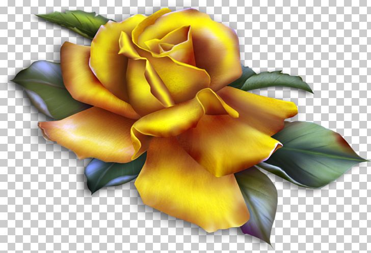 Rose Yellow PNG, Clipart, Beautiful, Clip Art, Computer Wallpaper, Cut Flowers, Desktop Wallpaper Free PNG Download