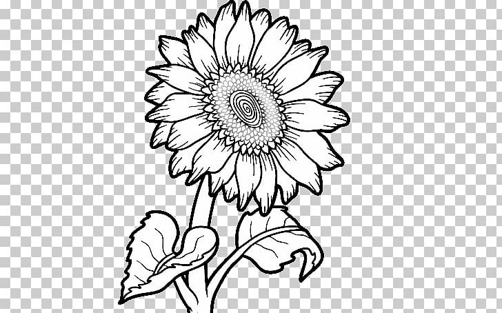 Common Sunflower Drawing Coloring Book PNG, Clipart, Artwork, Black, Black And White, Child, Chrysanths Free PNG Download