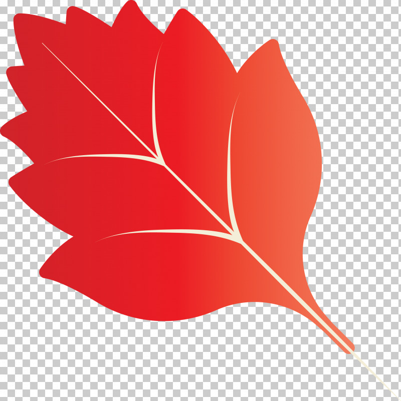 Autumn Leaf Autumn Color PNG, Clipart, Autumn Color, Autumn Leaf ...