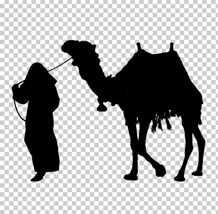 Camel Silhouette PNG, Clipart, Animals, Arabian Camel, Black And White, Camel, Camel Clipart Free PNG Download